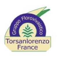 TORSANLORENZO FR logo, TORSANLORENZO FR contact details