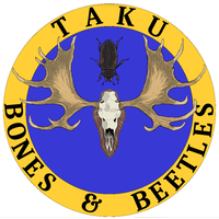 Taku Bones & Beetles Taxidermy logo, Taku Bones & Beetles Taxidermy contact details