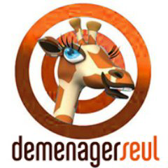 demenagerseul.com logo, demenagerseul.com contact details