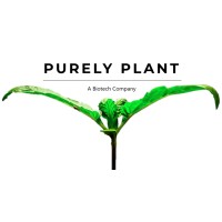 Purely Plant GmbH logo, Purely Plant GmbH contact details