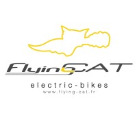 FLYING-CAT Electric Bike logo, FLYING-CAT Electric Bike contact details