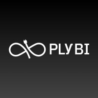 PLY BI logo, PLY BI contact details