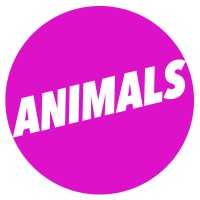 Animals Films logo, Animals Films contact details