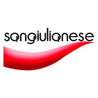 SANGIULIANESE TRASLOCHI SRL logo, SANGIULIANESE TRASLOCHI SRL contact details