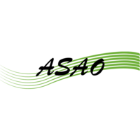 ASAO Consulting logo, ASAO Consulting contact details