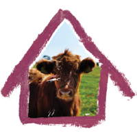 Cow-Shed Web Design logo, Cow-Shed Web Design contact details