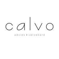 Calvo Advies B.V. logo, Calvo Advies B.V. contact details