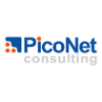 PicoNet Consulting logo, PicoNet Consulting contact details