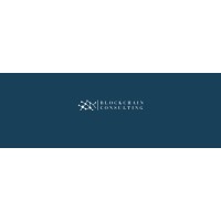 Blockchain Consulting LLC logo, Blockchain Consulting LLC contact details