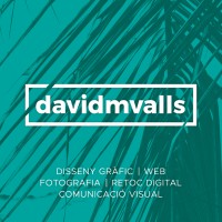 Davidmvalls logo, Davidmvalls contact details