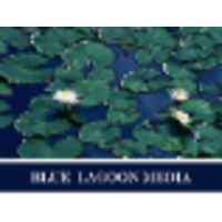 Blue Lagoon Media logo, Blue Lagoon Media contact details