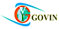 Govin Capital logo, Govin Capital contact details