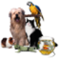 Belize Pet World logo, Belize Pet World contact details