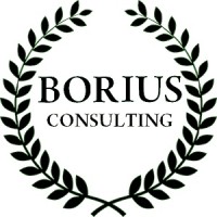 Borius Consulting logo, Borius Consulting contact details