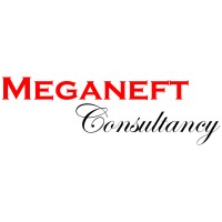 Meganeft Consultancy logo, Meganeft Consultancy contact details