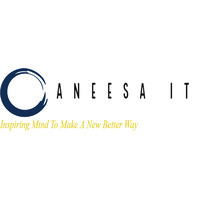 Aneesa IT Limited logo, Aneesa IT Limited contact details