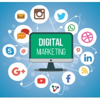 Digital Marketing 24 logo, Digital Marketing 24 contact details