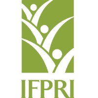 IFPRI-Bangladesh logo, IFPRI-Bangladesh contact details