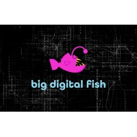 Big Digital Fish logo, Big Digital Fish contact details