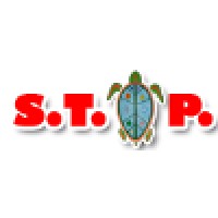 Sea Turtle Oversight Protection logo, Sea Turtle Oversight Protection contact details