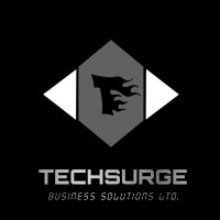 TechSurge Business Solutions logo, TechSurge Business Solutions contact details