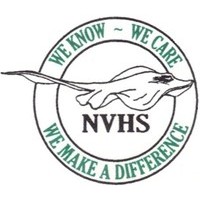 New Vision High School logo, New Vision High School contact details