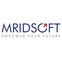 MRIDSOFT SOLUTIONS PVT LTD logo, MRIDSOFT SOLUTIONS PVT LTD contact details