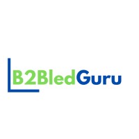 B2B Lead Gen Guru LLC logo, B2B Lead Gen Guru LLC contact details