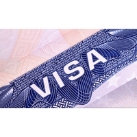 Visa Official logo, Visa Official contact details