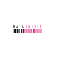 DataIntell N.V. logo, DataIntell N.V. contact details