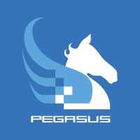 The Pegasus Group Company S.A. logo, The Pegasus Group Company S.A. contact details