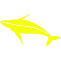 Yellow Whale Labs Pvt Ltd logo, Yellow Whale Labs Pvt Ltd contact details