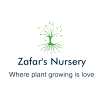 Zafar's Nursery logo, Zafar's Nursery contact details