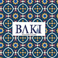 Baki International Consulting logo, Baki International Consulting contact details