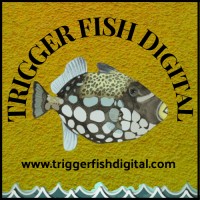 Trigger Fish Digital logo, Trigger Fish Digital contact details