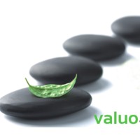 Valuo Desarrollo logo, Valuo Desarrollo contact details