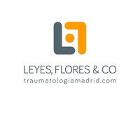 Leyes, Flores & CO logo, Leyes, Flores & CO contact details