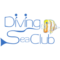 Diving Sea Club logo, Diving Sea Club contact details