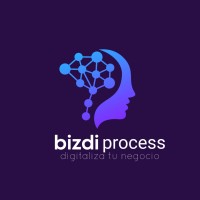 BIZDI Process logo, BIZDI Process contact details