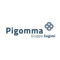 Pigomma SpA - Gruppo Sogimi logo, Pigomma SpA - Gruppo Sogimi contact details