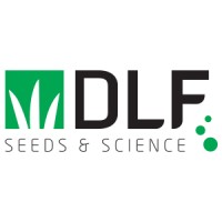 DLF - France logo, DLF - France contact details