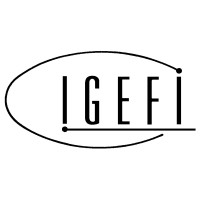 Igefi S.r.l. logo, Igefi S.r.l. contact details