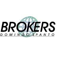 Brokers Domingo Spanto logo, Brokers Domingo Spanto contact details