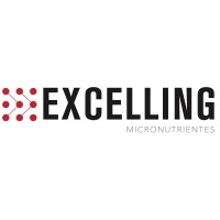 Excelling logo, Excelling contact details