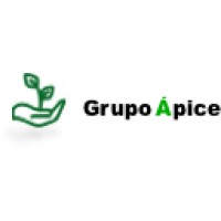 Grupo Ápice logo, Grupo Ápice contact details