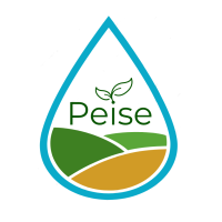 Peise logo, Peise contact details