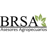 Belaustegui y Ramayon S.A. (BRSA) logo, Belaustegui y Ramayon S.A. (BRSA) contact details