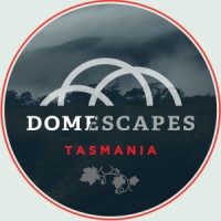 Domescapes logo, Domescapes contact details