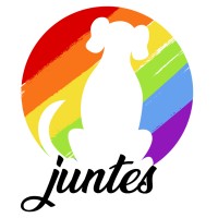 juntes logo, juntes contact details