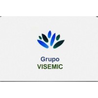 Grupo Visemic logo, Grupo Visemic contact details